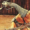 Guess the movie